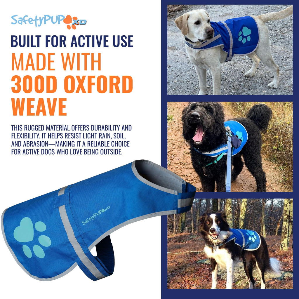 Reflective Hi-Vis Dog Safety Vest for Night Walks