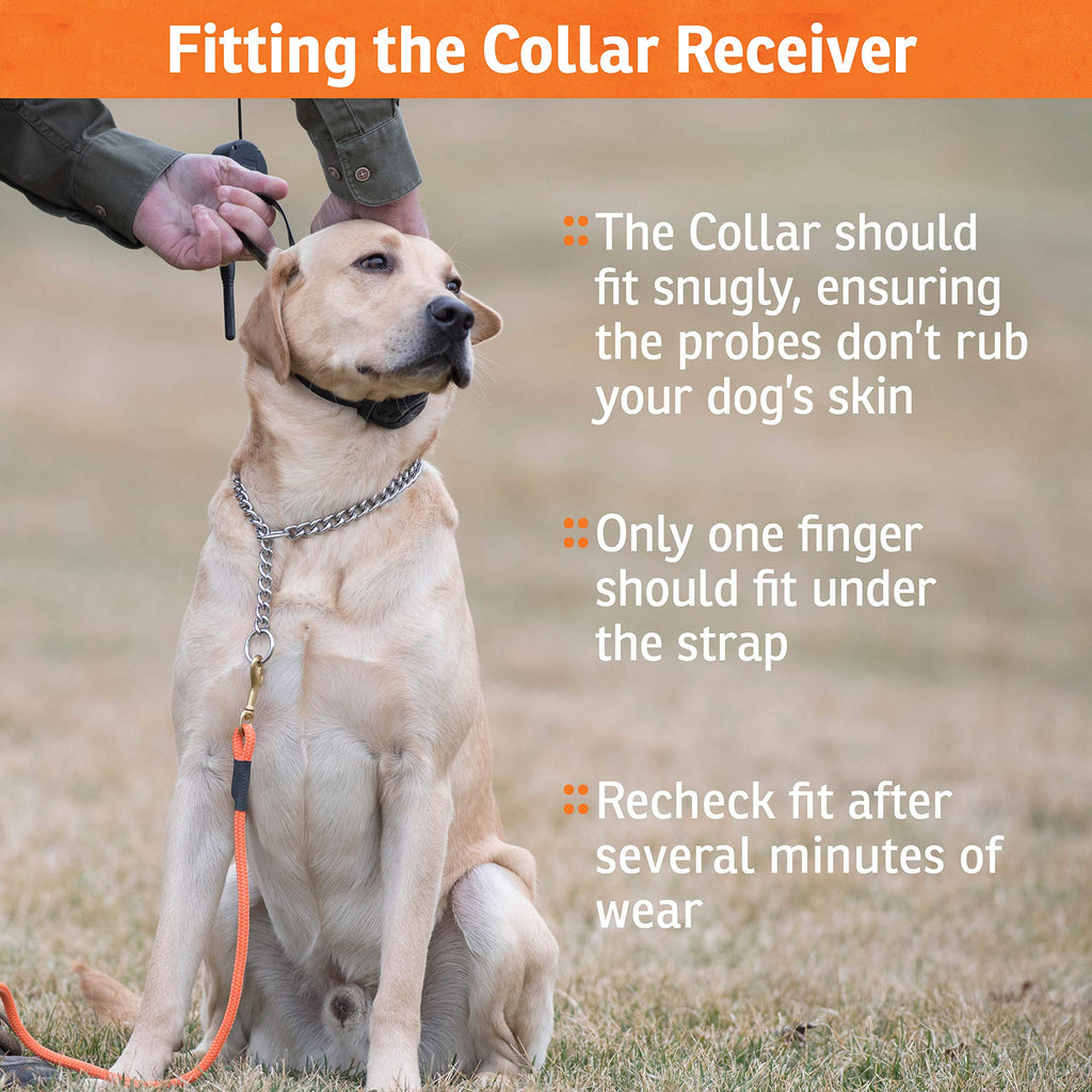 SportDOG Brand Rechargeable In-Ground Fence Systems – from the Parent Company of INVISIBLE FENCE Brand - Underground Wire Electric Fence - Tone, Vibration, & Static - 100 Acre Capability
