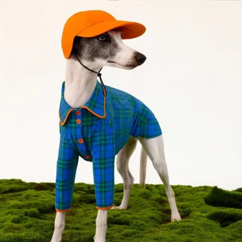 Nuvotail pet lifestyle