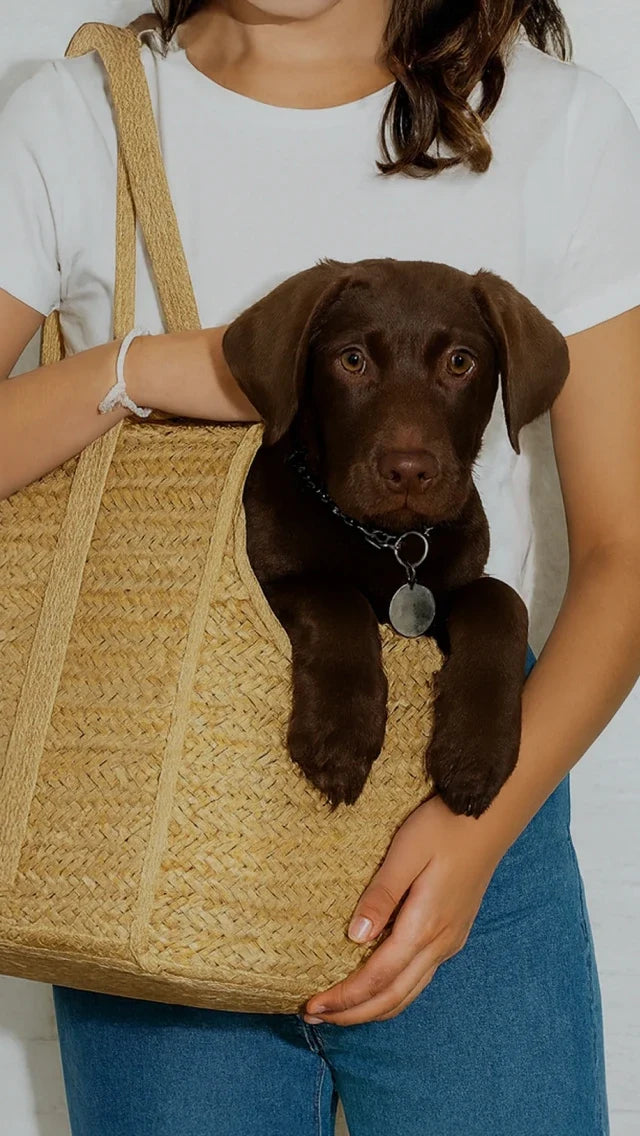 Nuvotail pet lifestyle