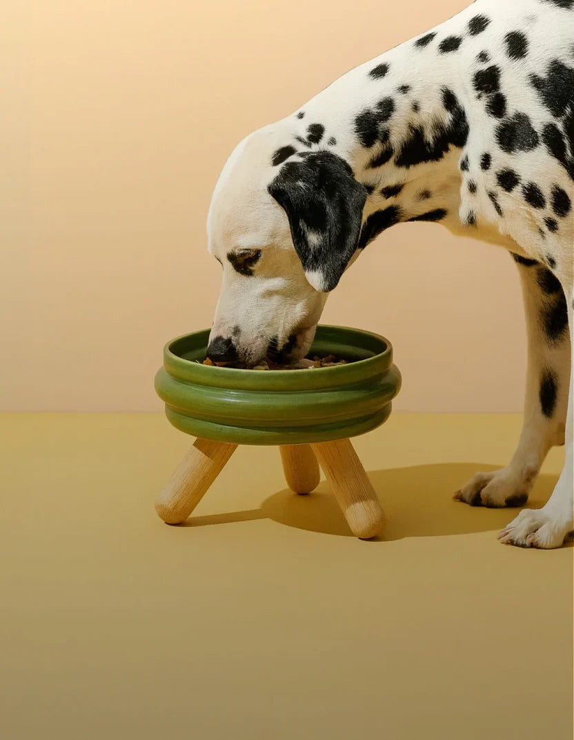 Nuvotail pet lifestyle